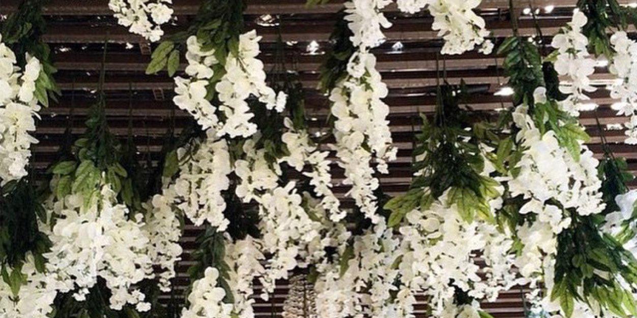 AmandaAngiolino's profile banner image