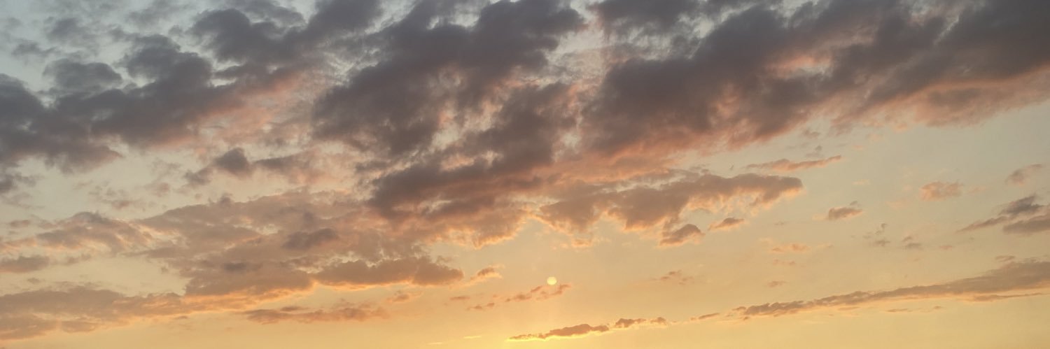 IncebayTugba's profile banner image