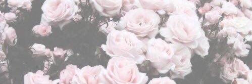 jquae_'s profile banner image