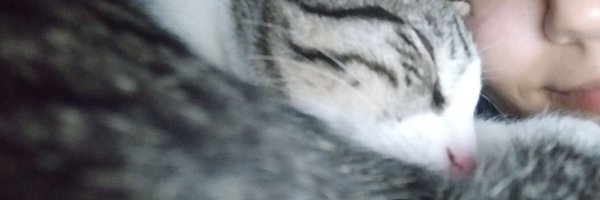 ravzaamaroush Profile Banner