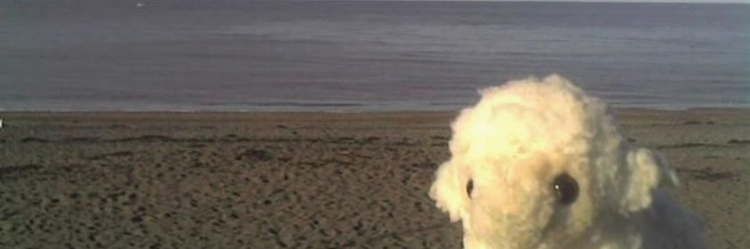 stylesstorrie's profile banner image