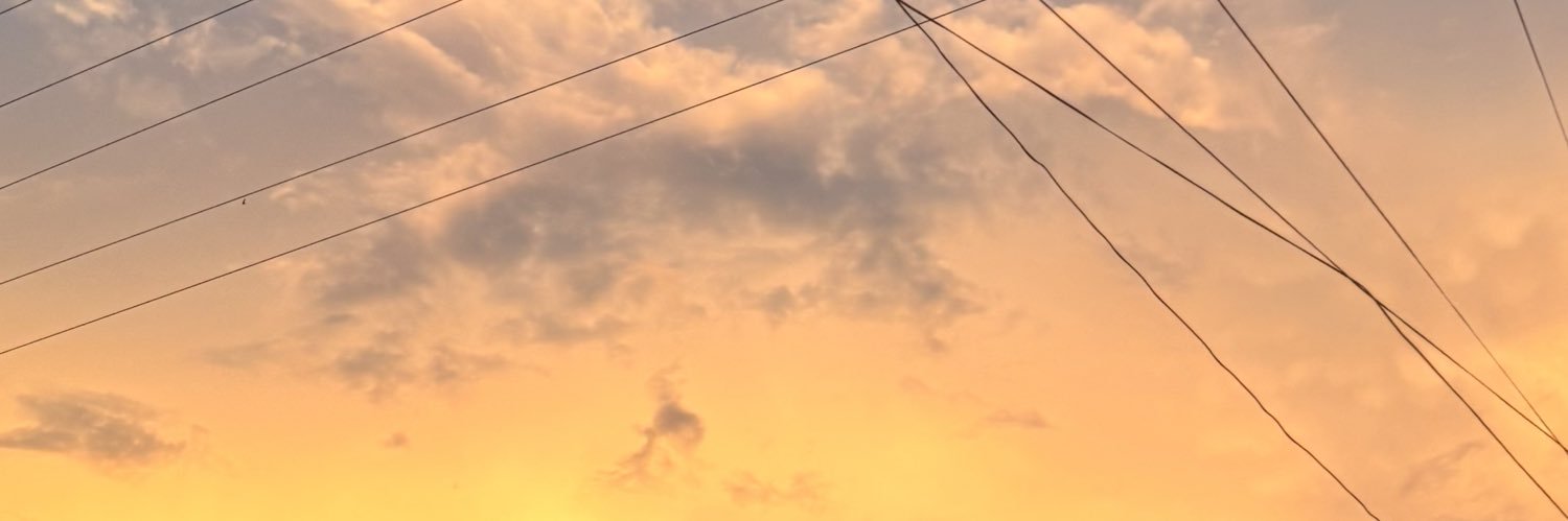 25thblackturtle's profile banner image
