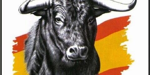 ToniFernandez97's profile banner image