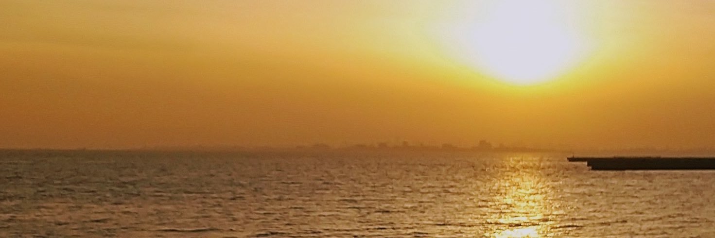 ShioNegi_'s profile banner image