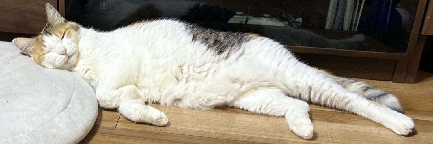 波多野和俊 banner