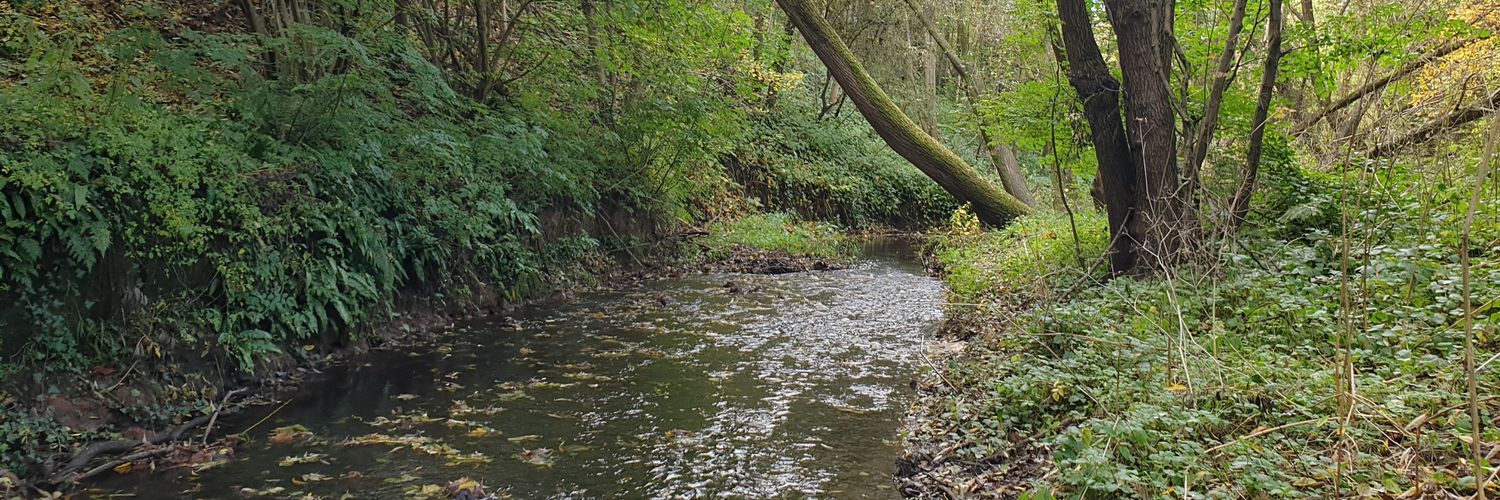 Wrexham Litter Pickers banner