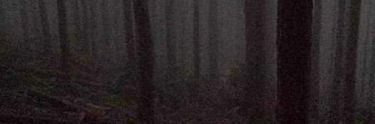 79QglUeWJUNE8OY's profile banner image