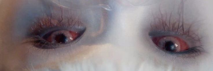 7th year: sleinethal zb1 banner