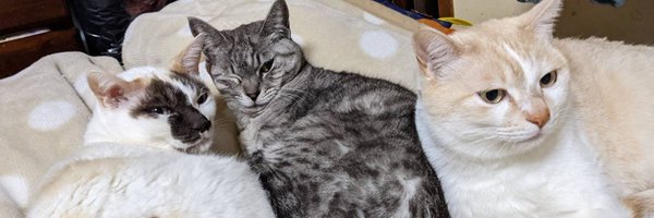 athmcc000 Profile Banner