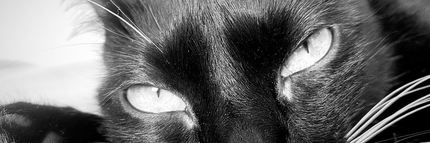 Gabs_bessa's profile banner image