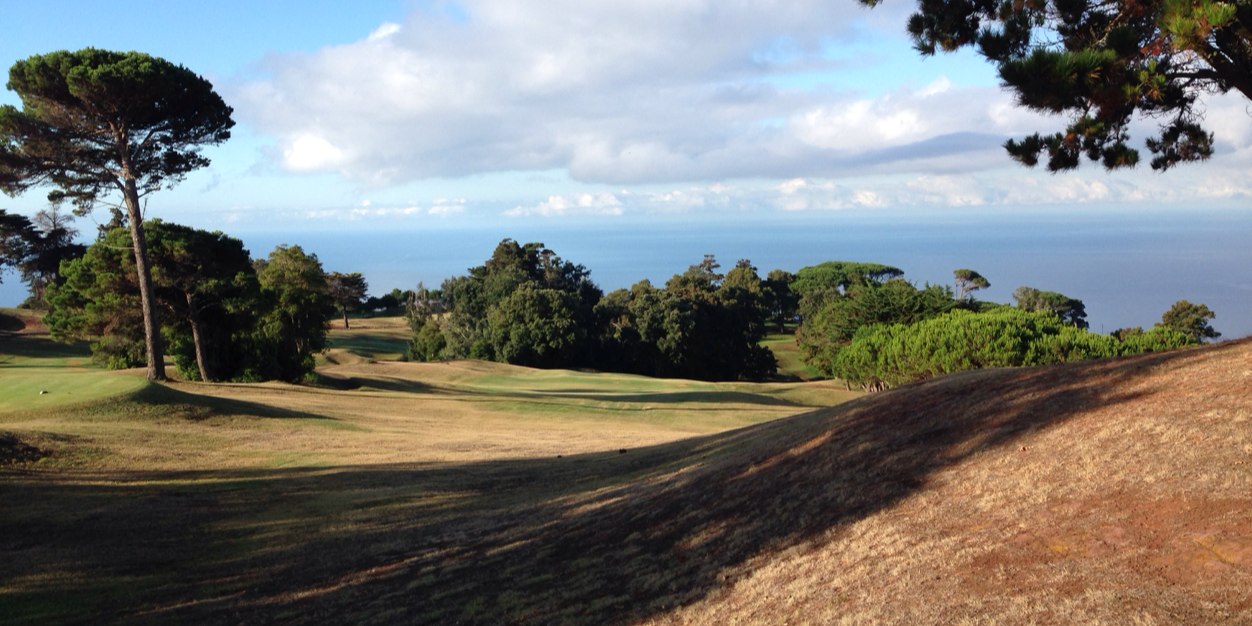 simon elliman banner