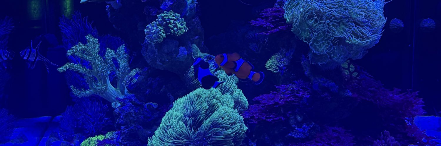 doubblea2's profile banner image