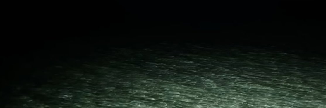 sarcamicwarrior's profile banner image