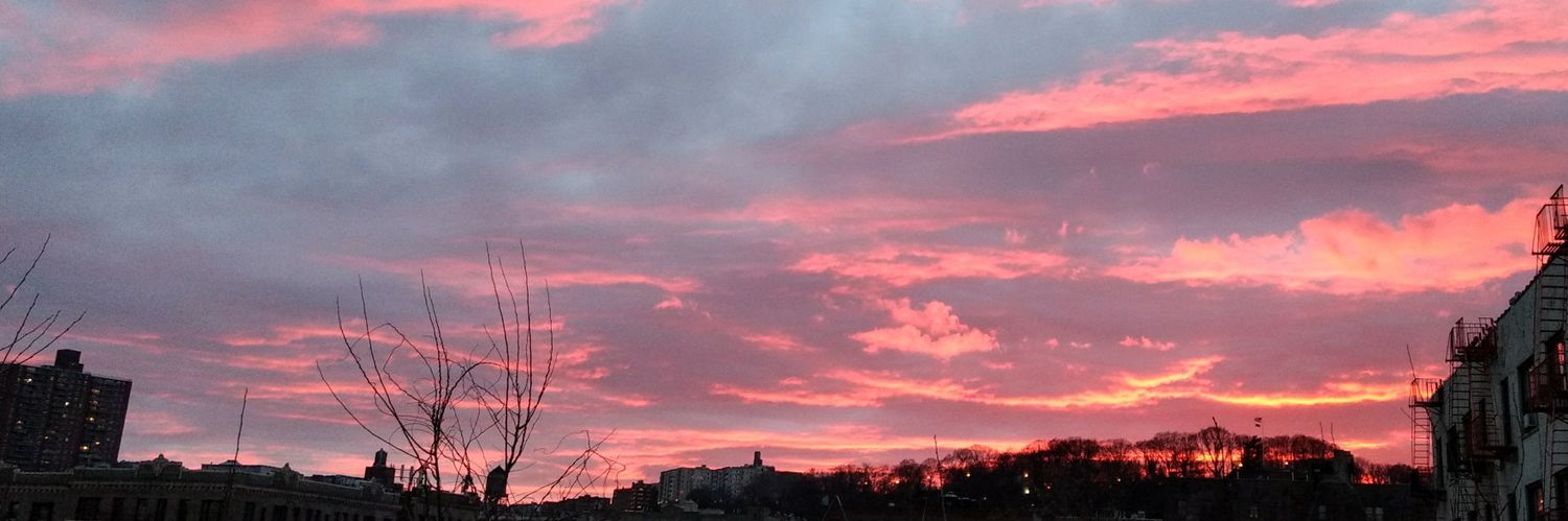 SarahLDPerreaux's profile banner image