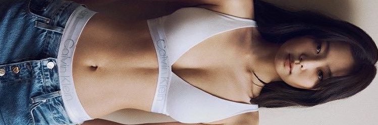 nicolette banner