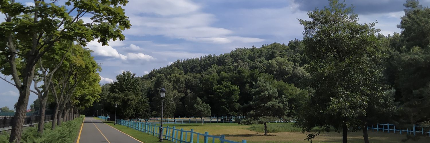 bogdmits's profile banner image
