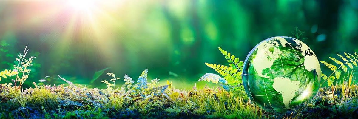 Helene BERGES banner