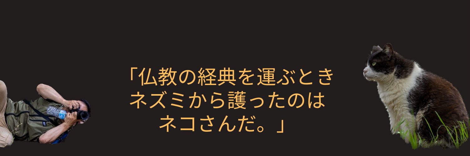 専念寺/ネコ坊主's banner