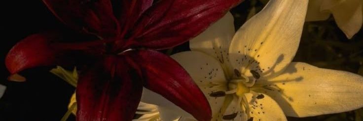 twoba2w's profile banner image