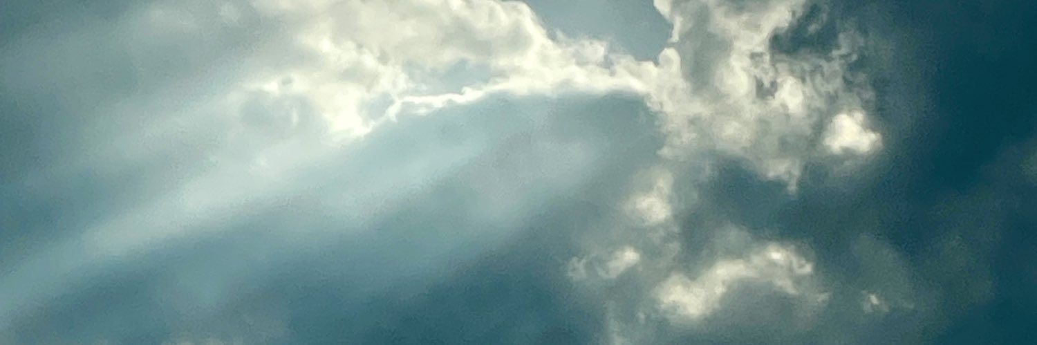 Reiko.K banner