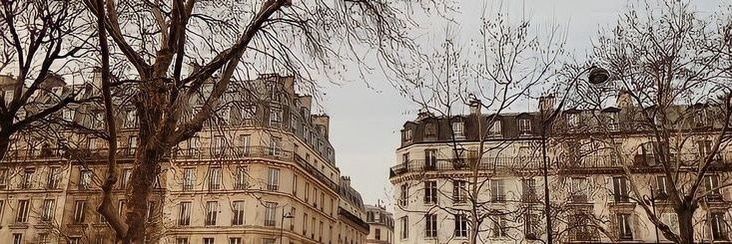 ᴿⁱᵉˑ banner