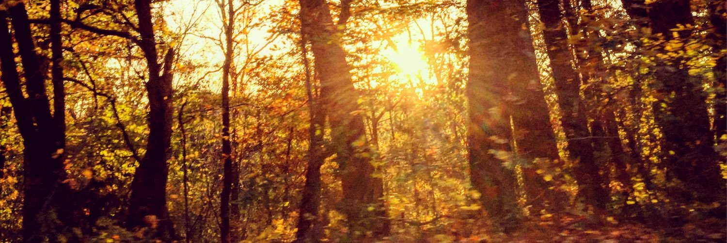 aprilr's profile banner image