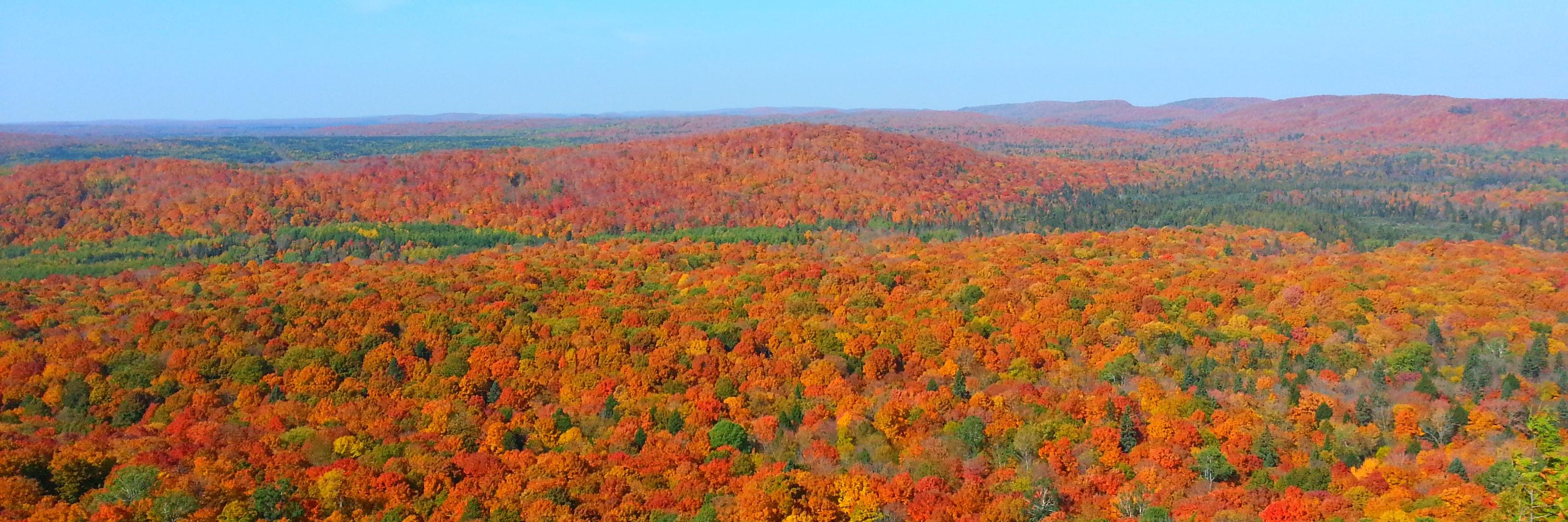 MattBenzWeather's profile banner image