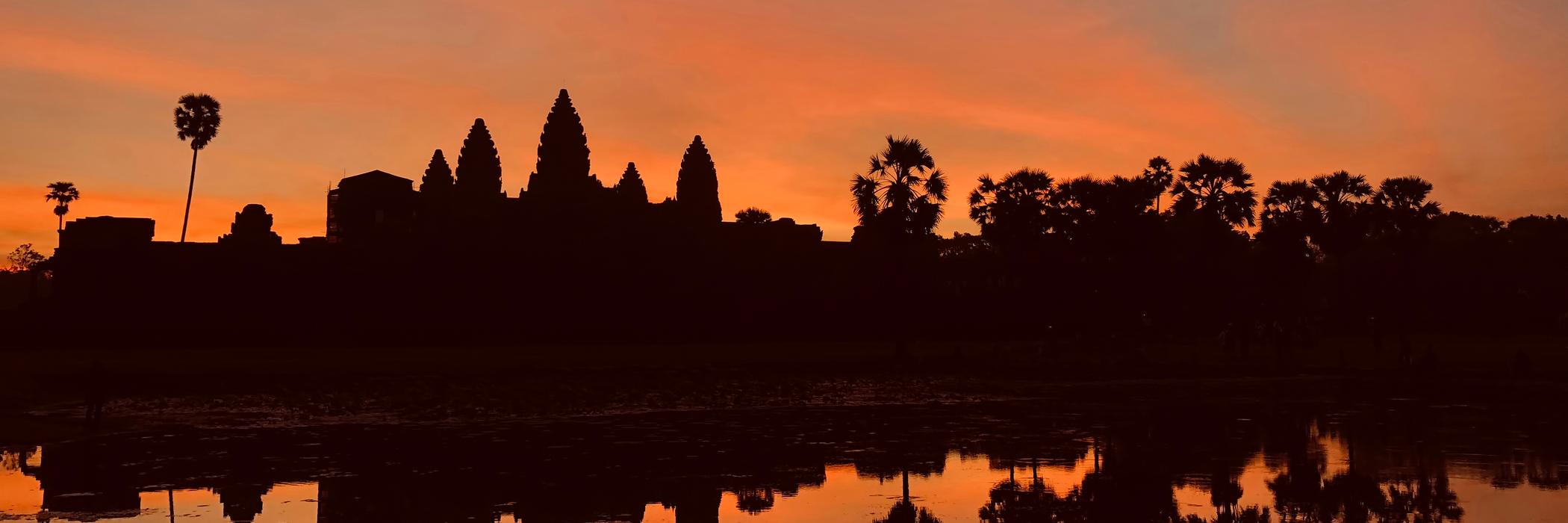 Michael Southcott banner