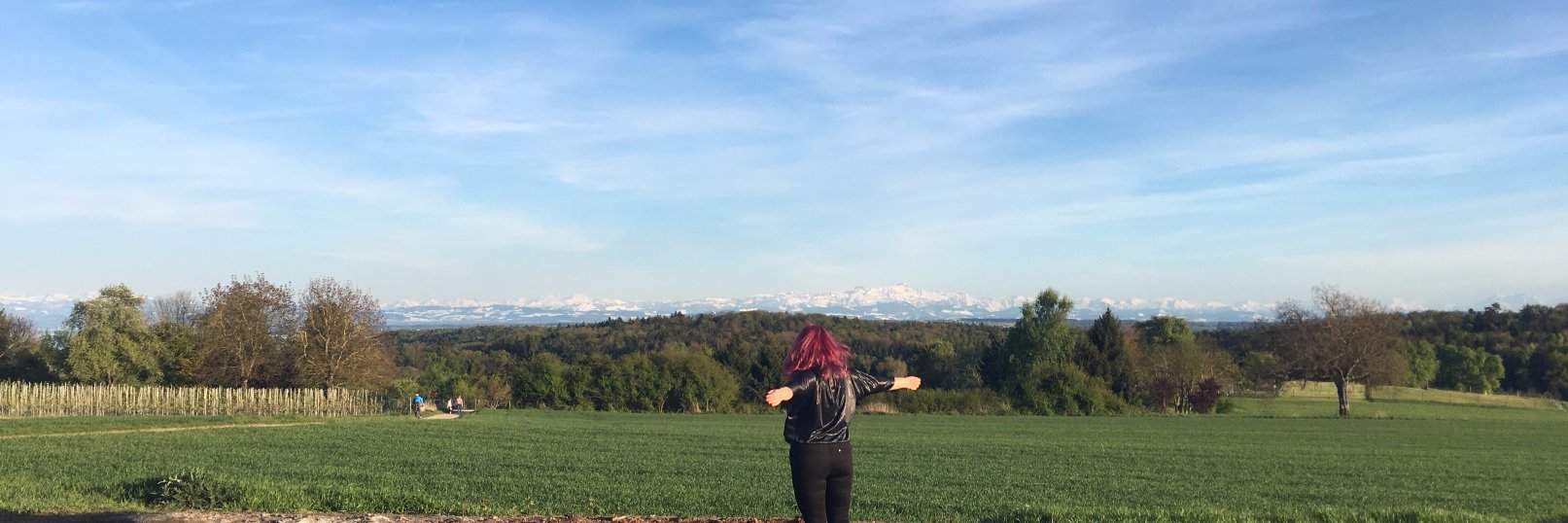 xLuigiM's profile banner image