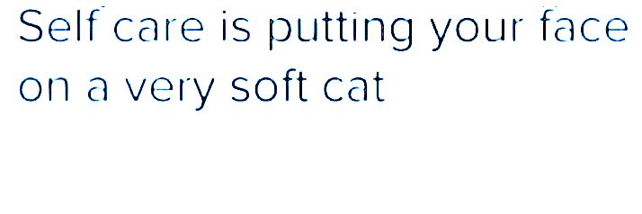 🐈💅 banner