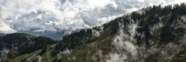 mojocarro Profile Banner
