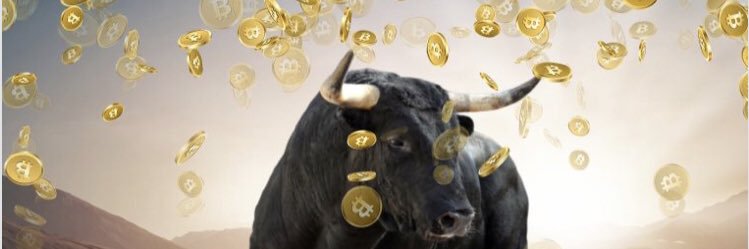 CryptoChef16's profile banner image