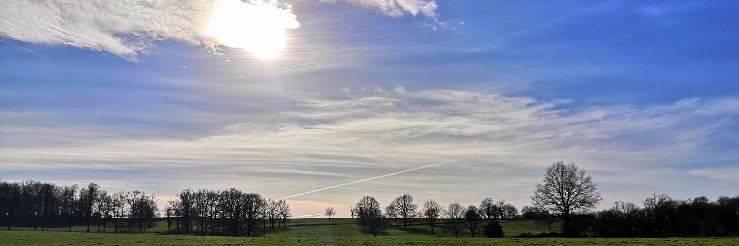 Linus Paco Occi banner