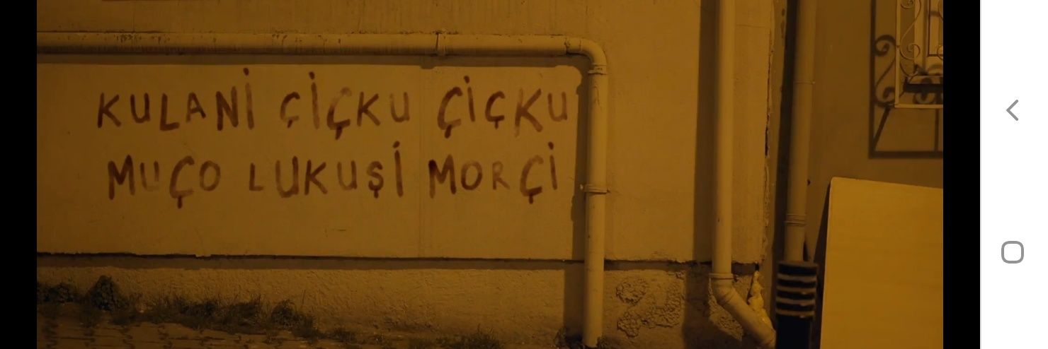 Ali_Bey006's profile banner image