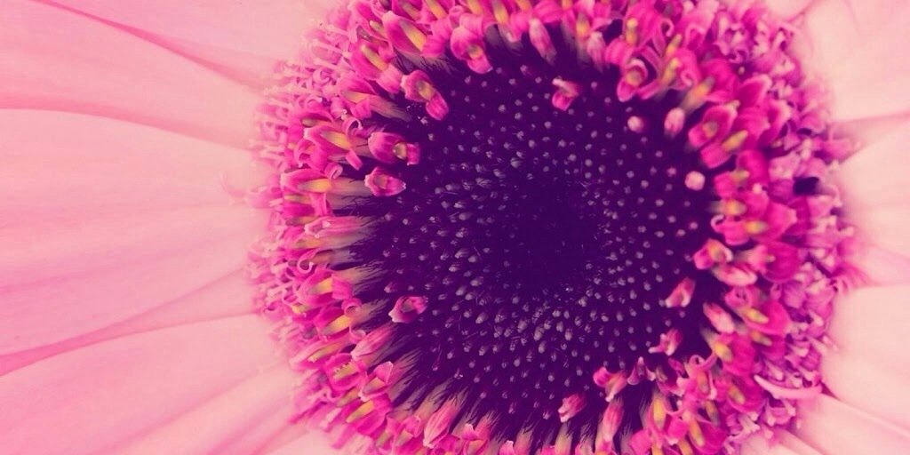 meligil's profile banner image