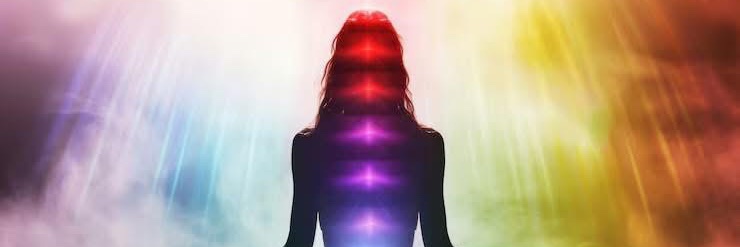 Isabelle Darrigo banner