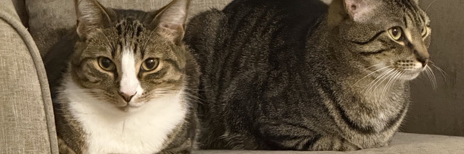 jack drinks beer banner