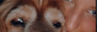maxima banner