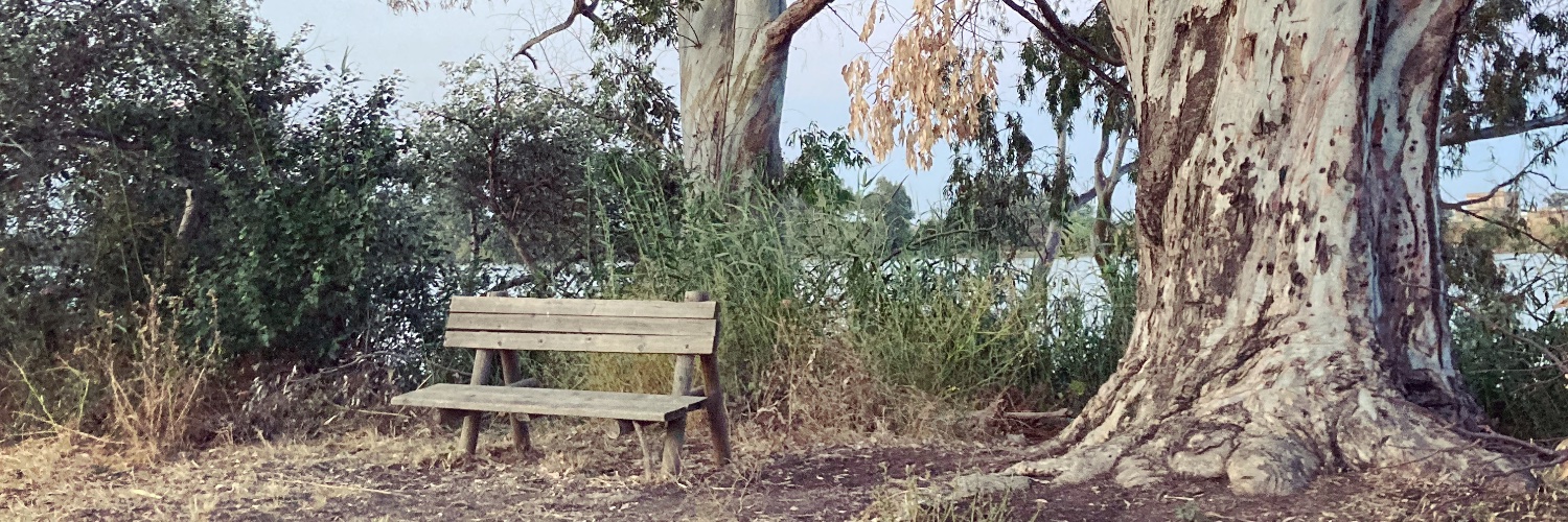 rove13666's profile banner image