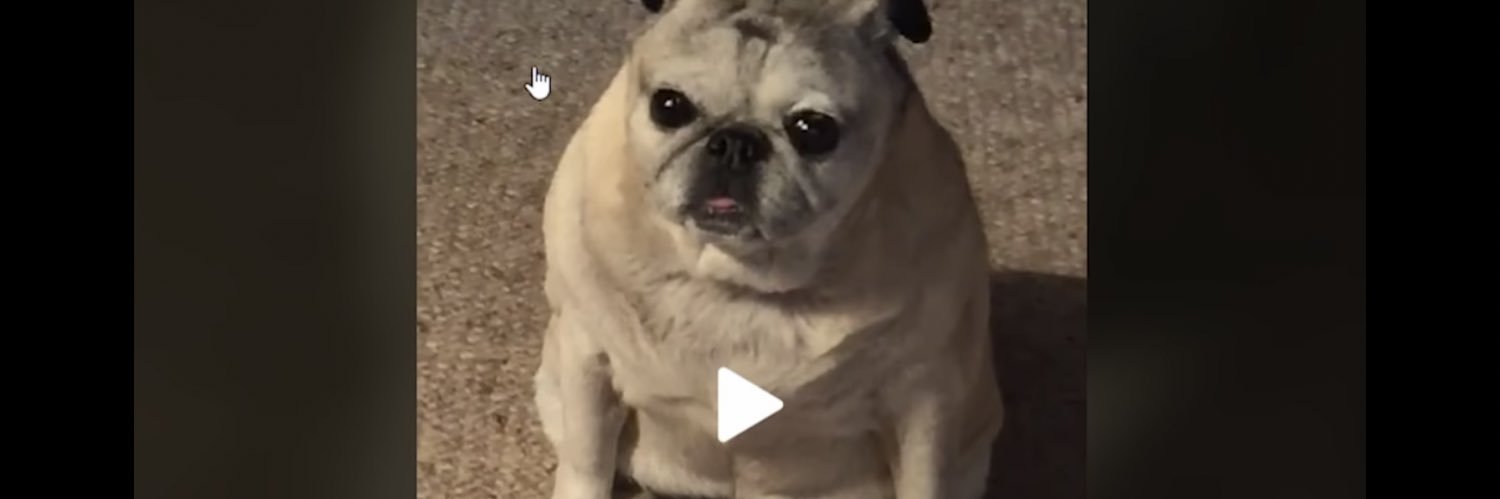 MrSammySam1's profile banner image