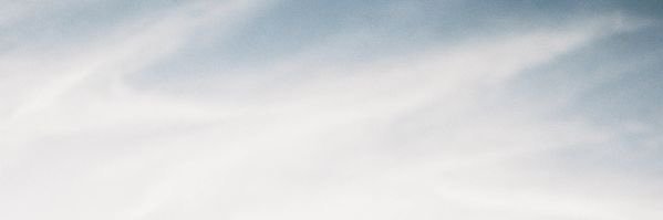flowerofapr's profile banner image