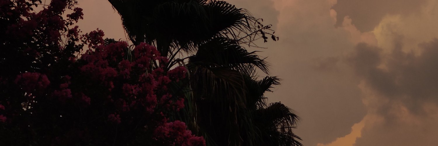AarezSatti's profile banner image