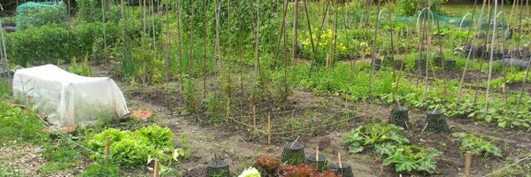 vm_bea Profile Banner