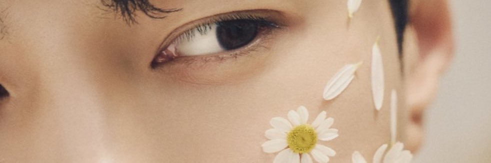 lkimdaisy's profile banner image