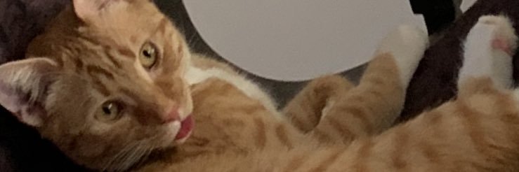 Ryan ‘Crush the 1%’ Normile banner