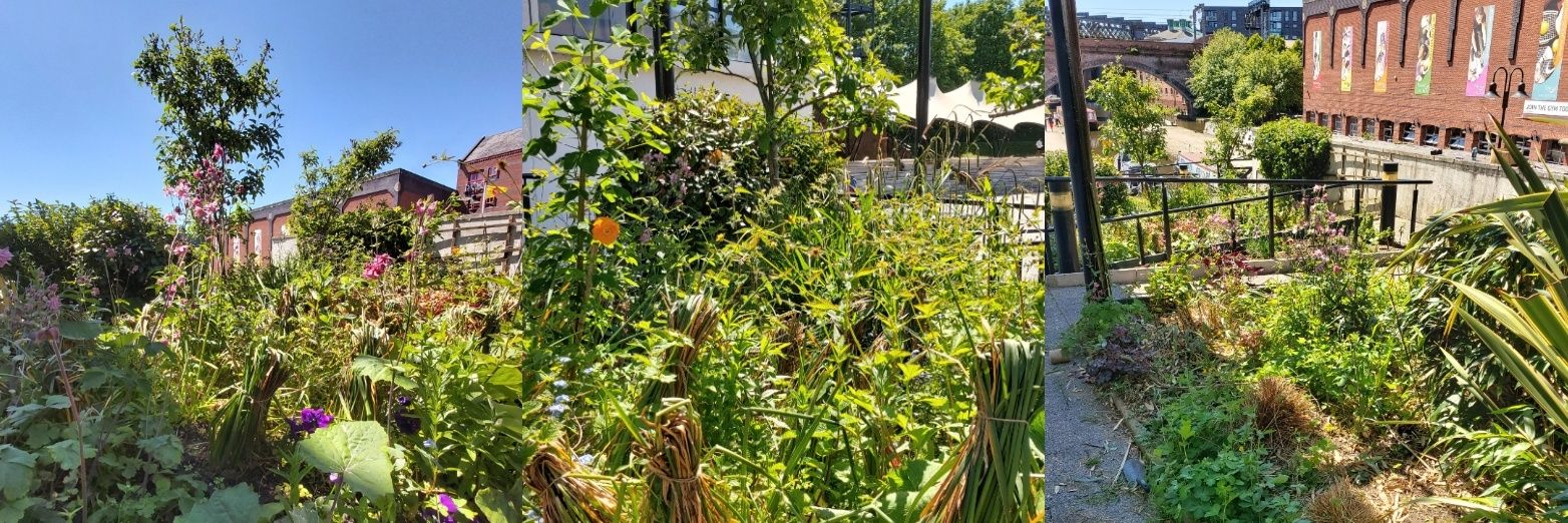 Clean & Green Castlefield banner