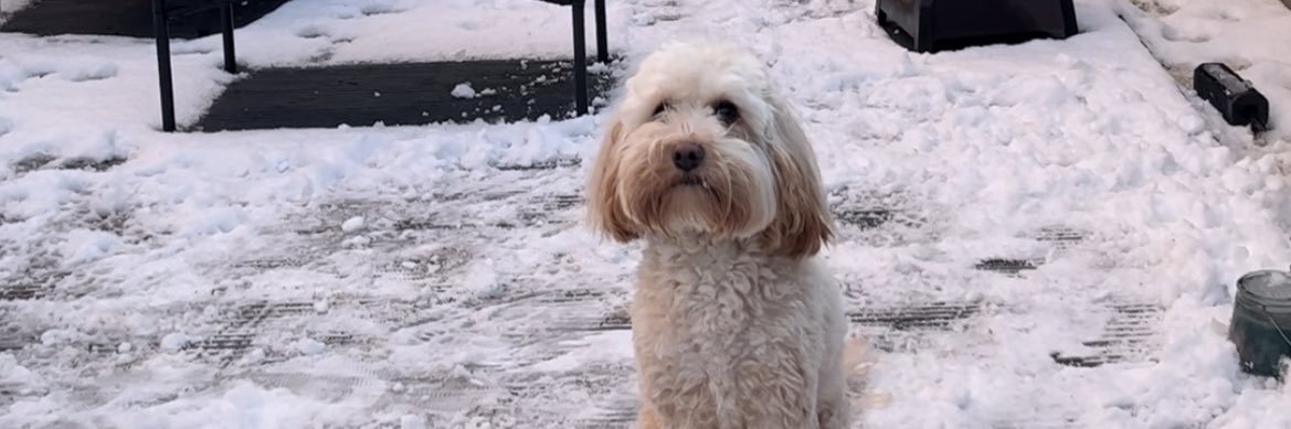 Athena Morris banner