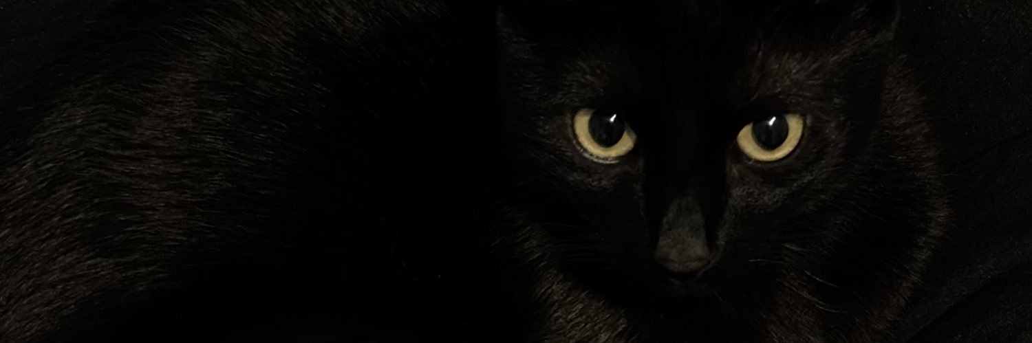 mert banner