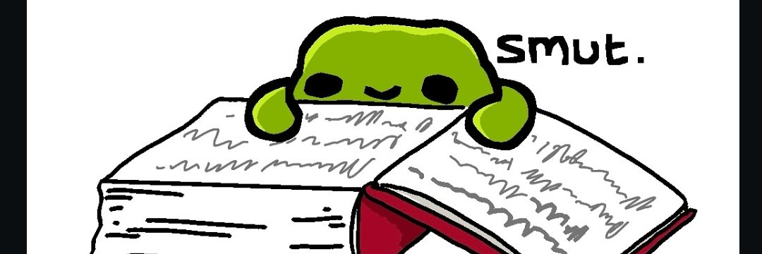 LilMissScurvy's profile banner image