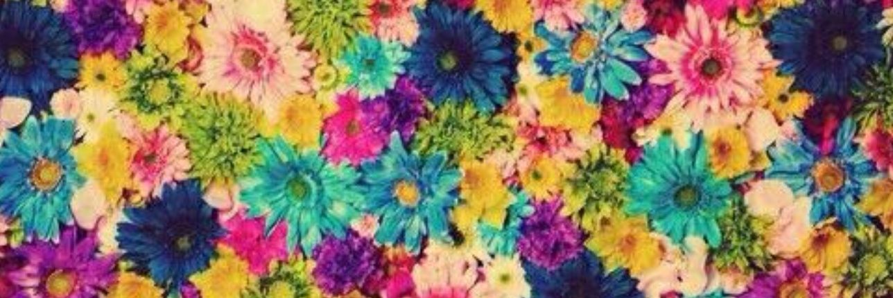 sorrycupcake's profile banner image